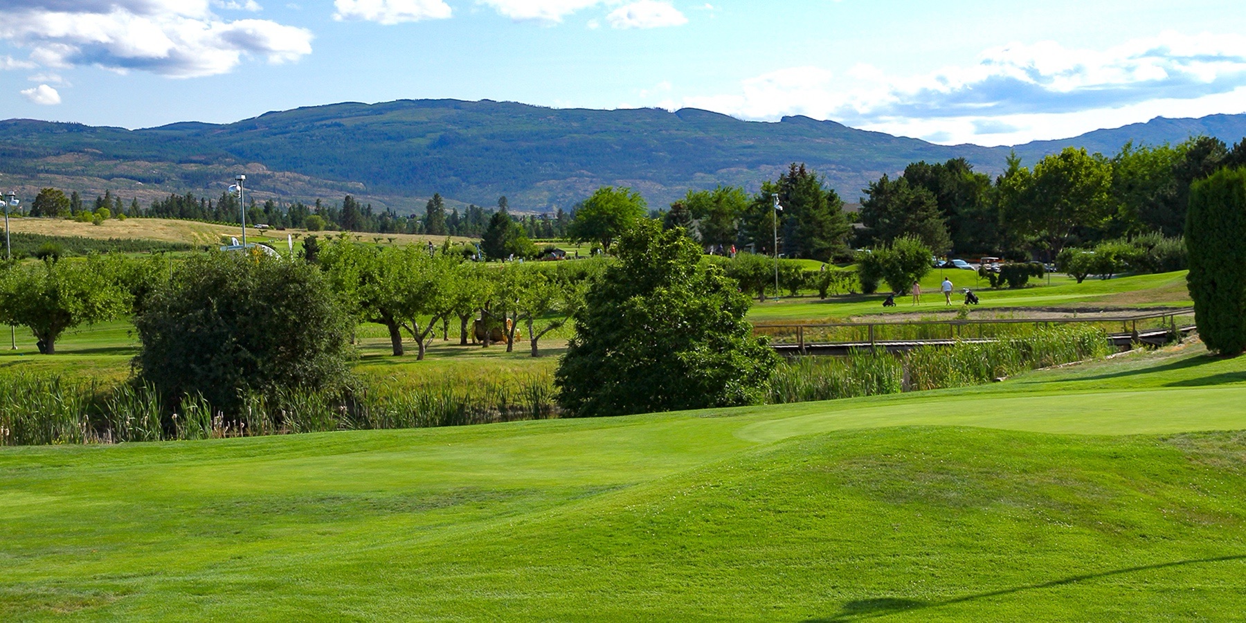 Orchard Greens Golf Club
