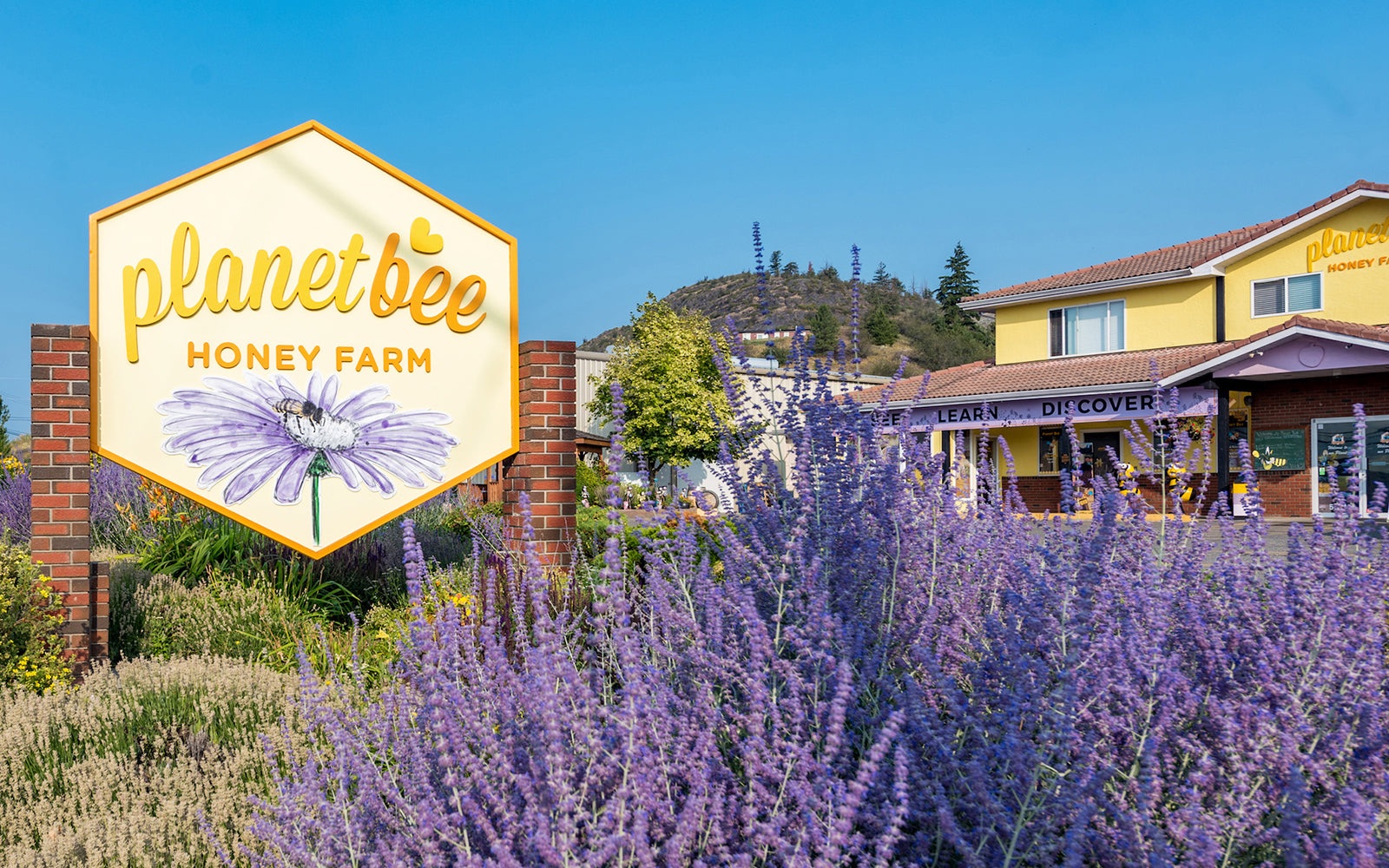 Planet Bee Honey Farm & Honeymoon Meadery