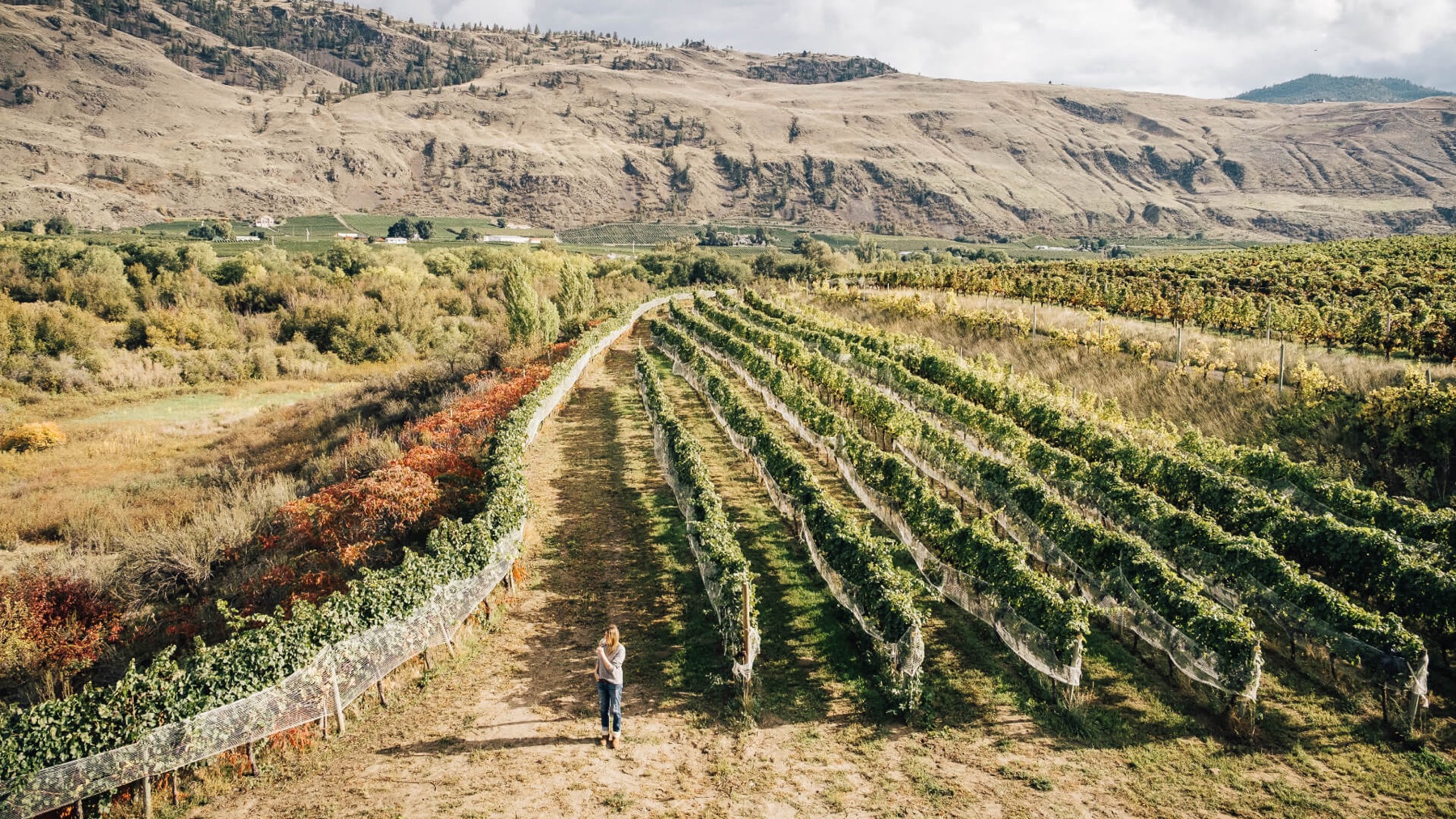 Platinum Bench Estate Winery & Artisan Bread Co.