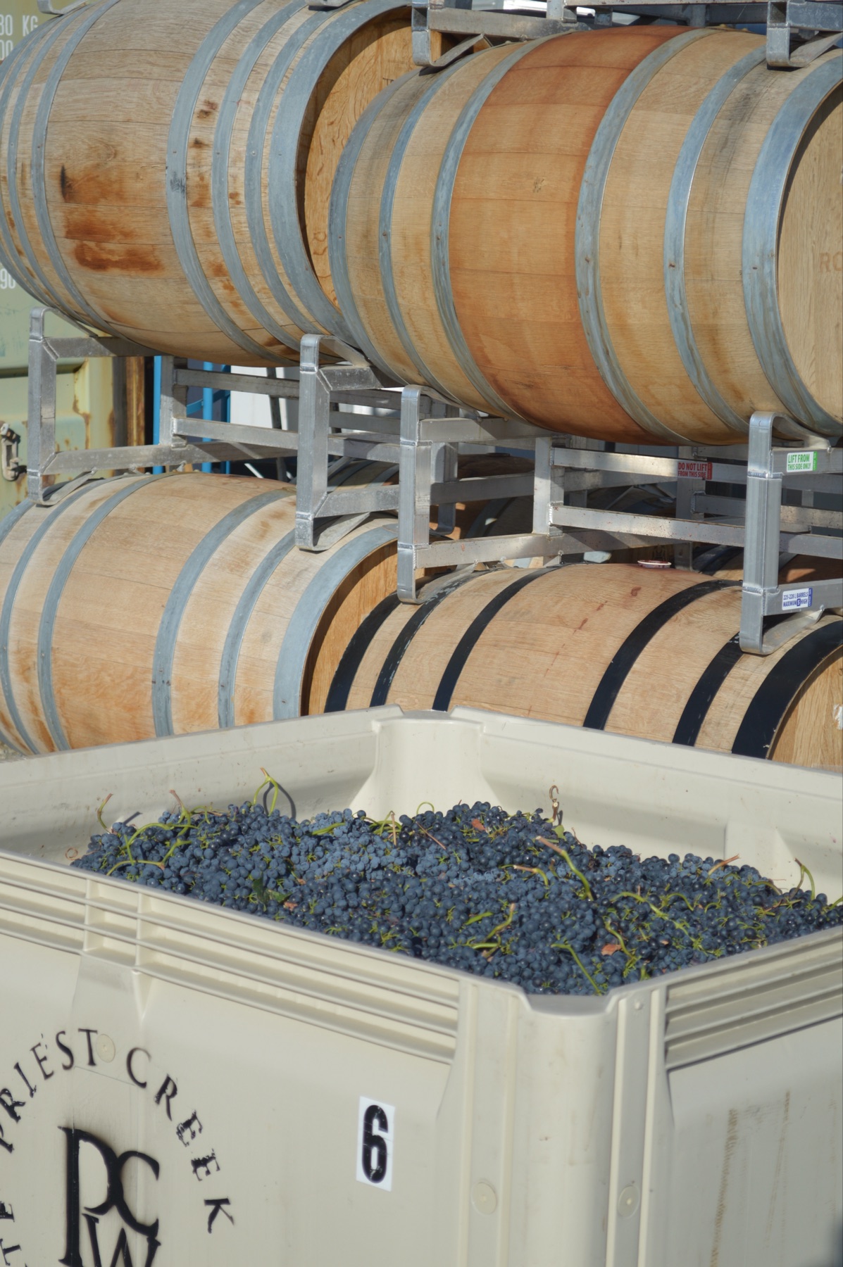 Priest Creek Family Estate Winery – photo 3 sur 3