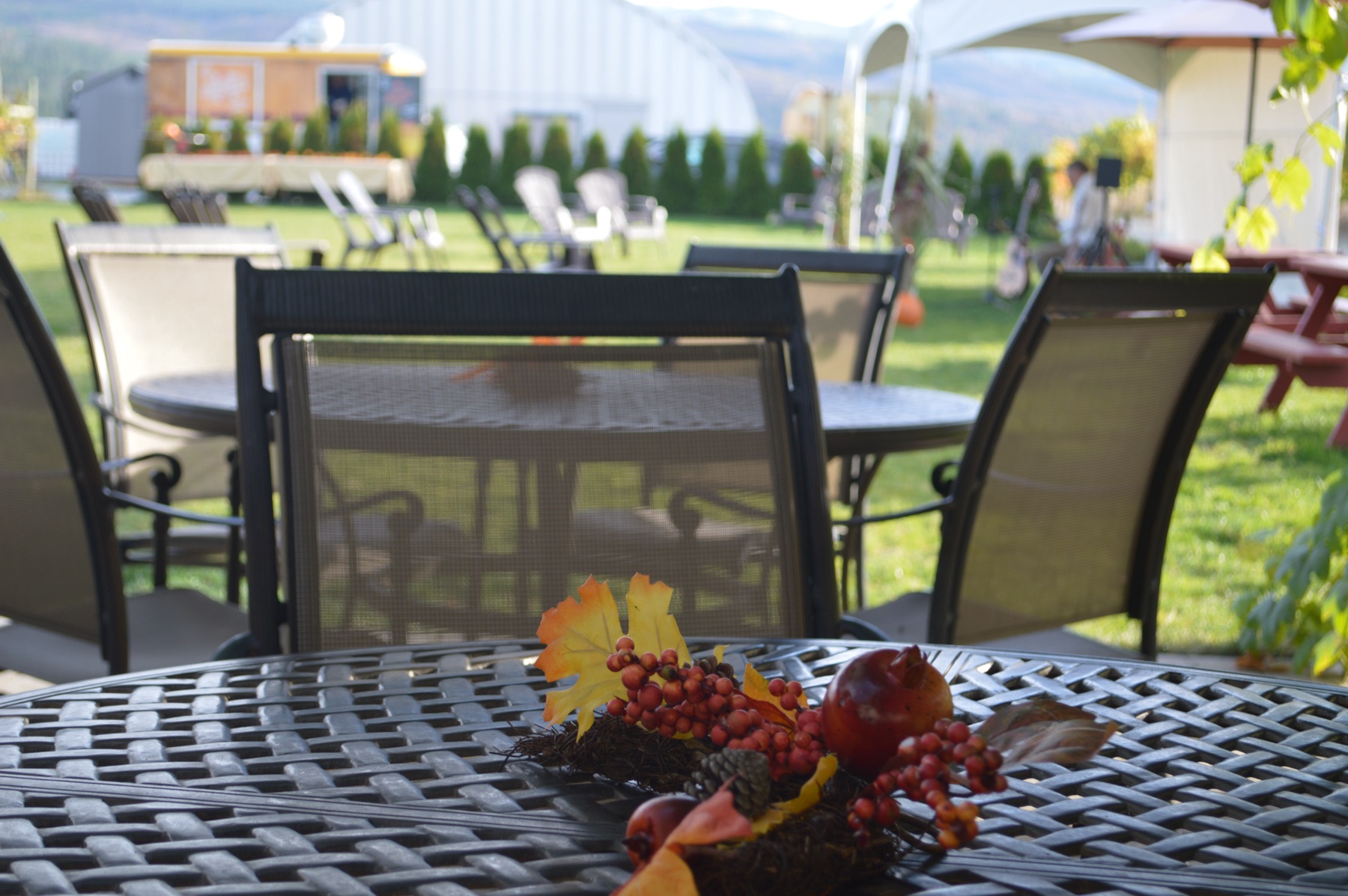 Priest Creek Family Estate Winery – photo 2 sur 3