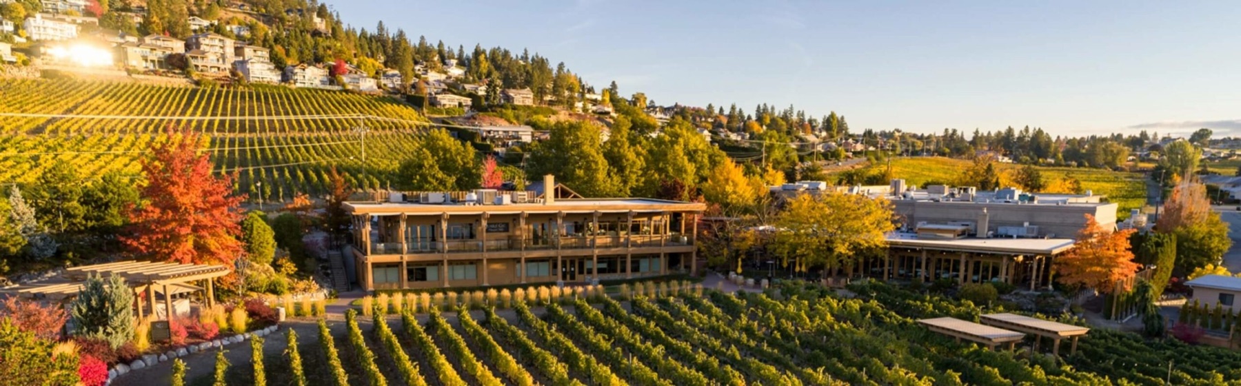 Quails' Gate Winery