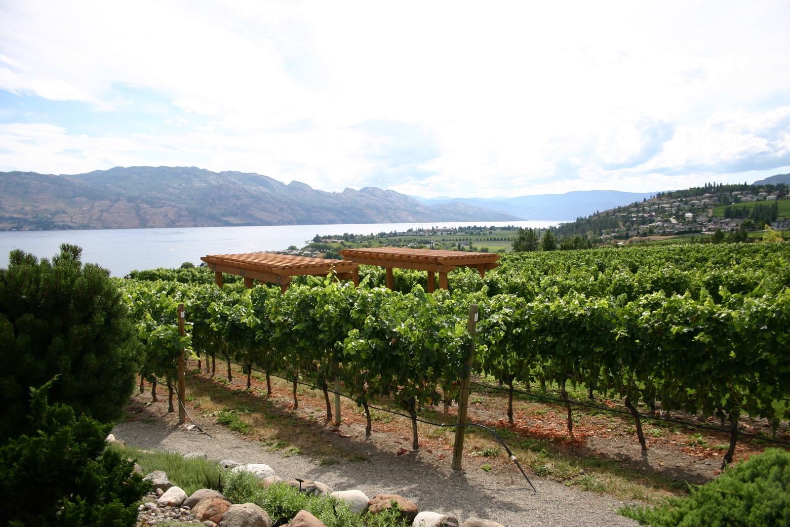 Toast the Okanagan Wine Tours