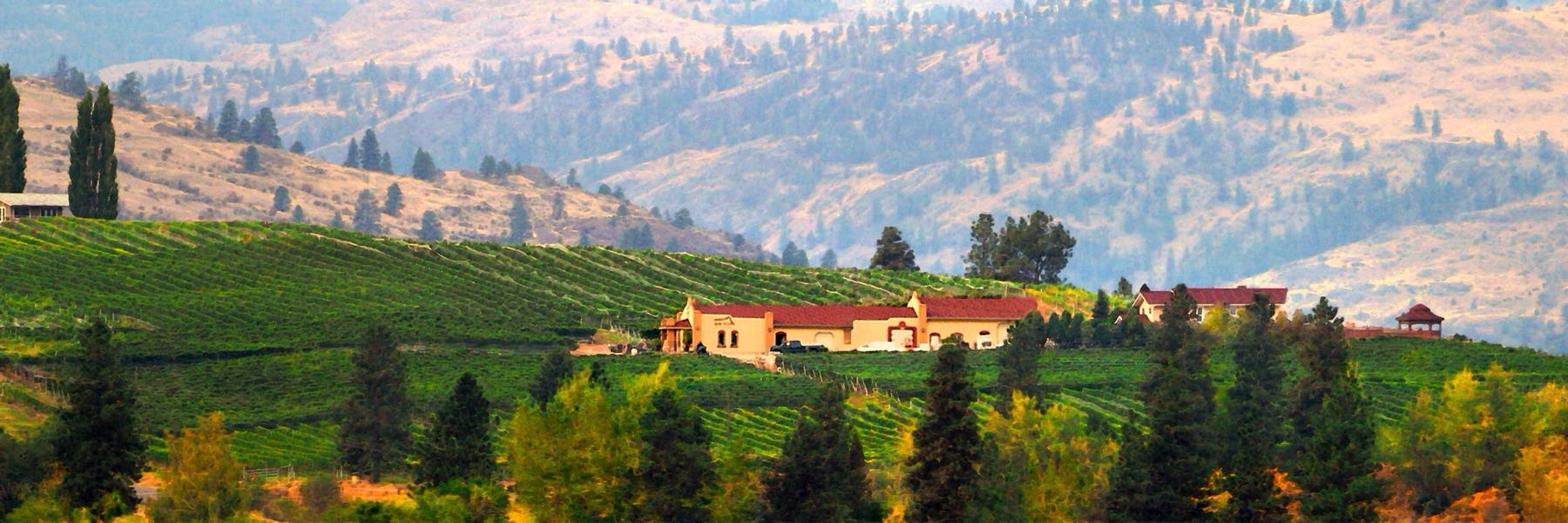 Quinta Ferreira Estate Winery