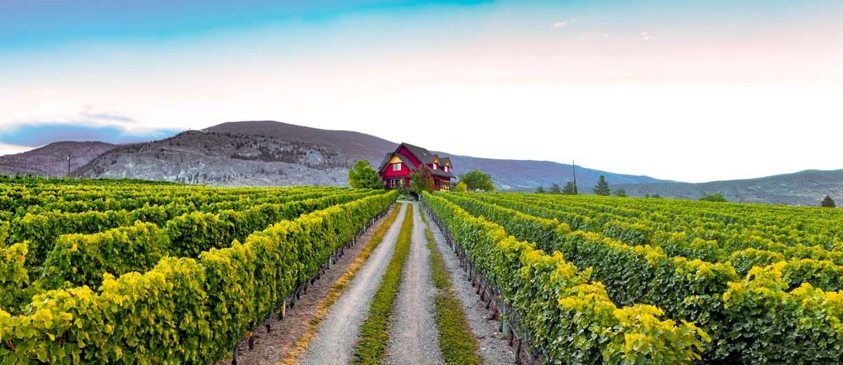 River Stone Estate Winery