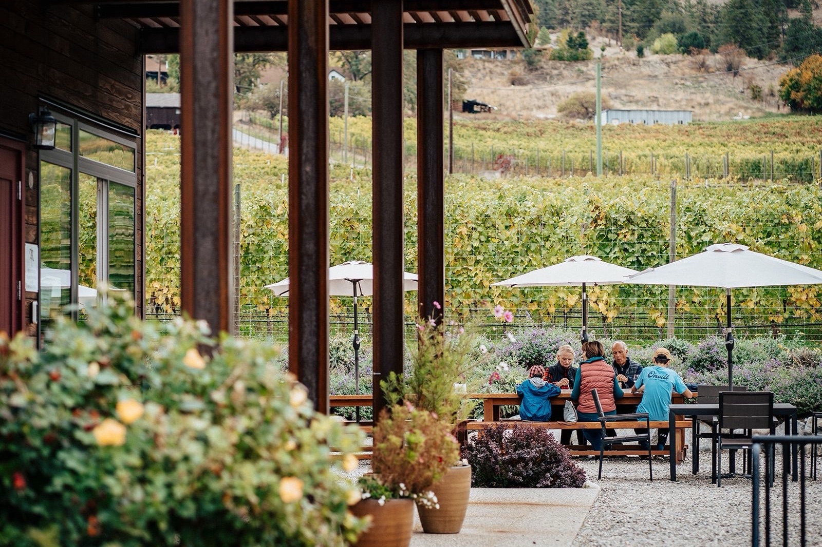Roche Wines