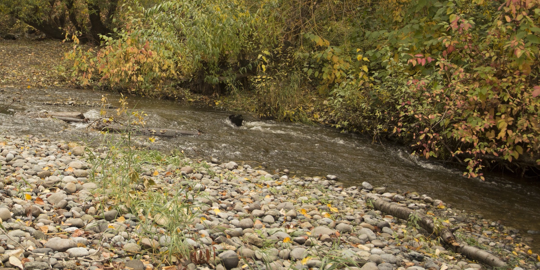 Rotary Trails (Powers Creek)