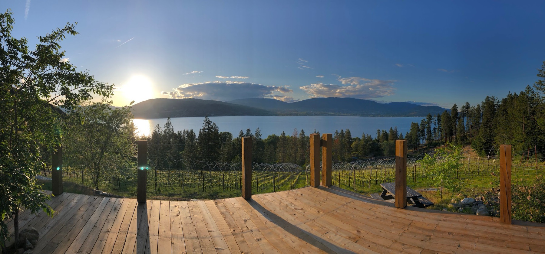 Scorched Earth Winery