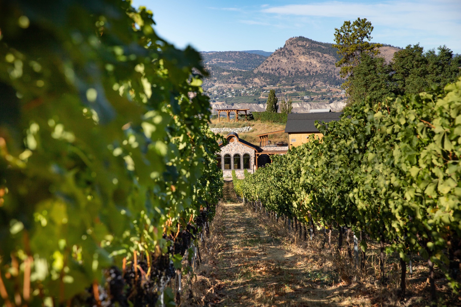 Serendipity Winery