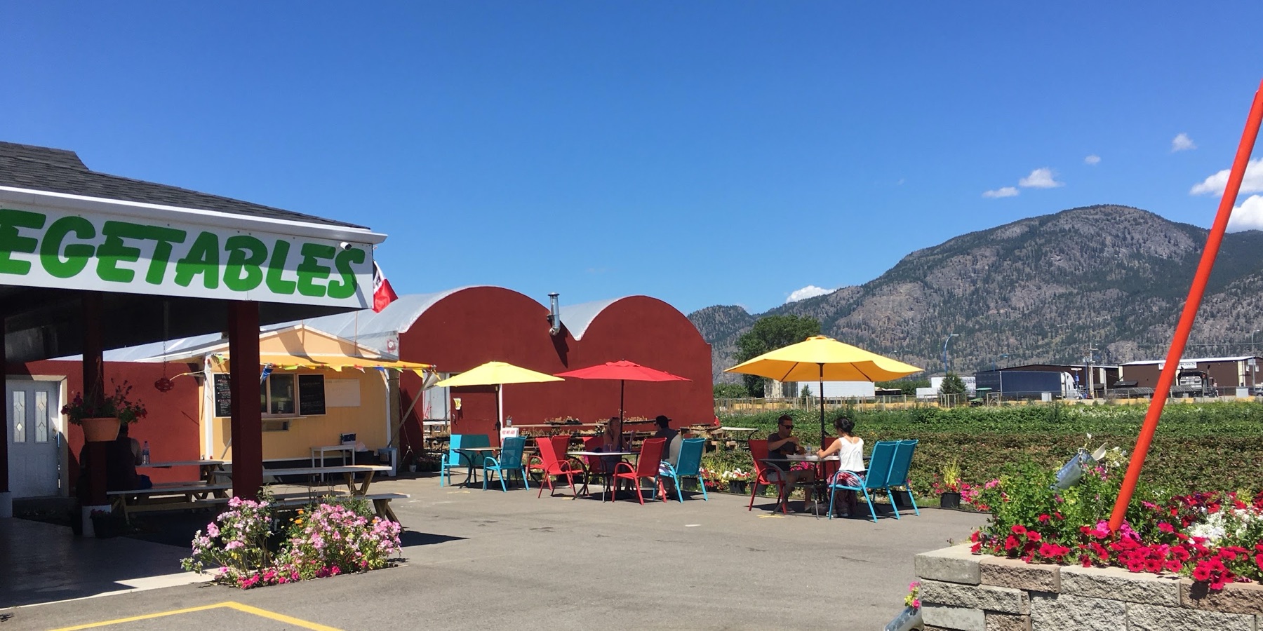 Sofia Mexican Food