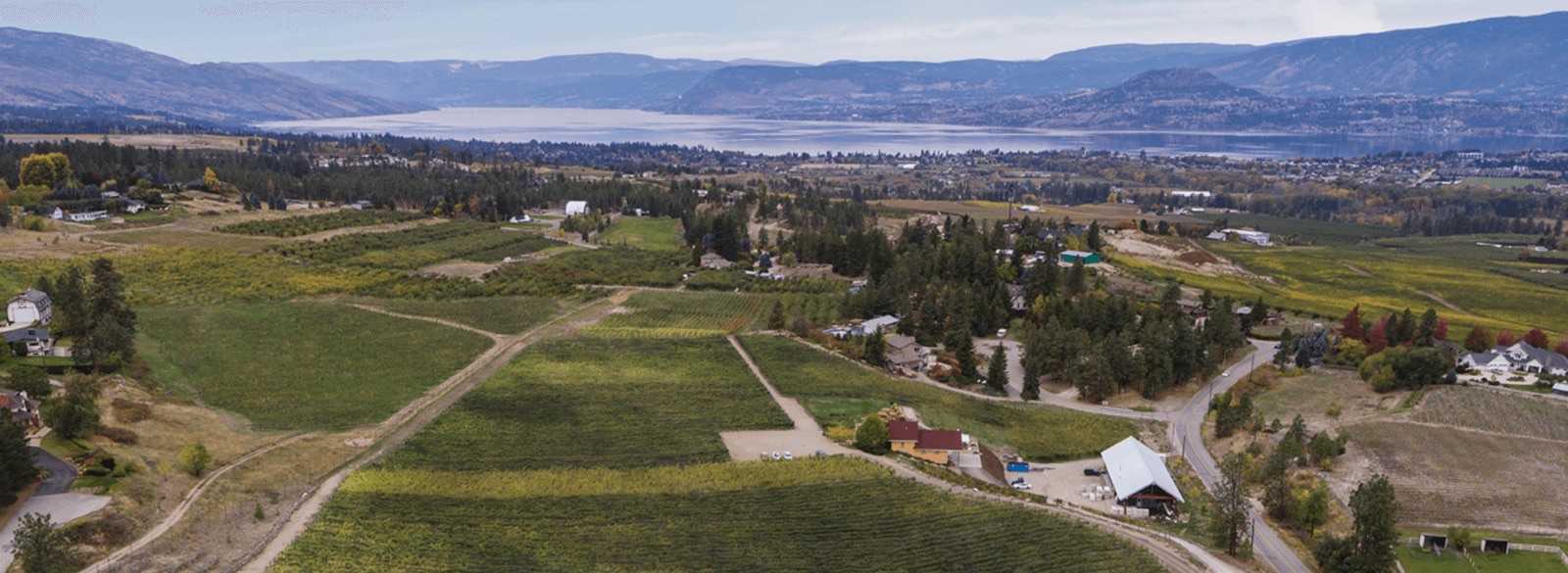 SpearHead Winery