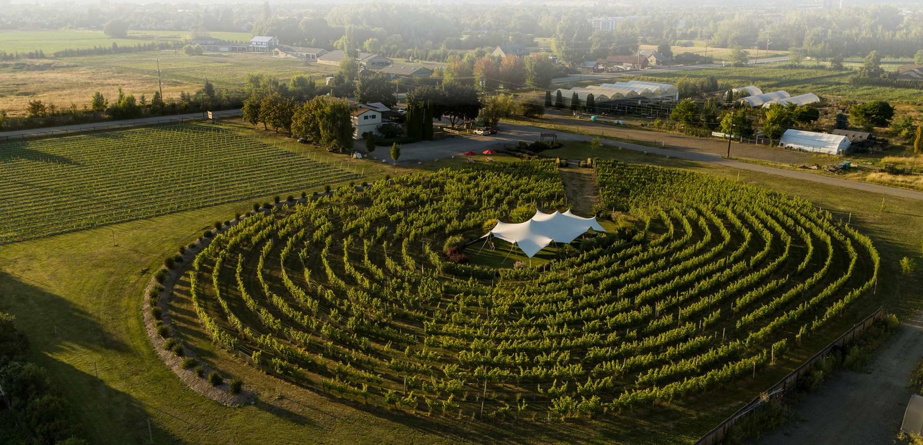 Sperling Vineyards