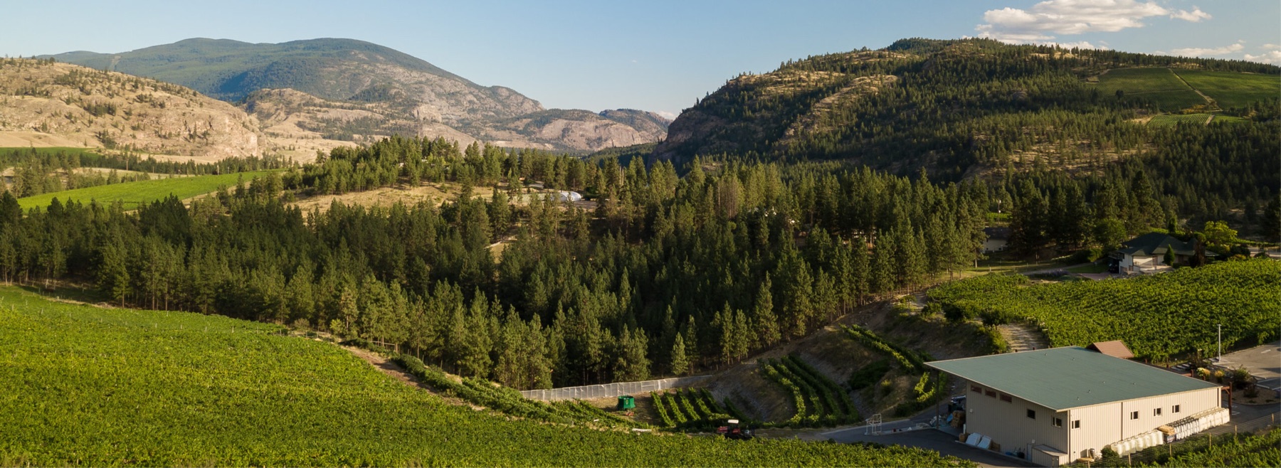 Stag's Hollow Winery