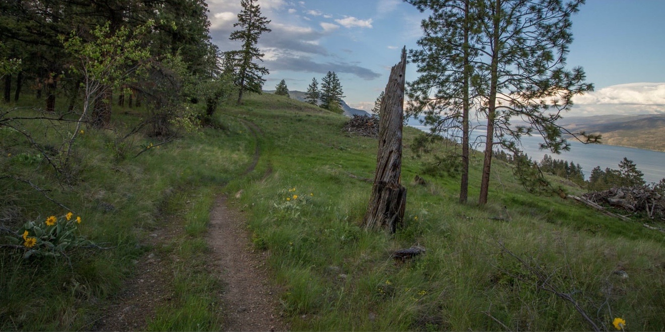 Stairway to Heaven Trail