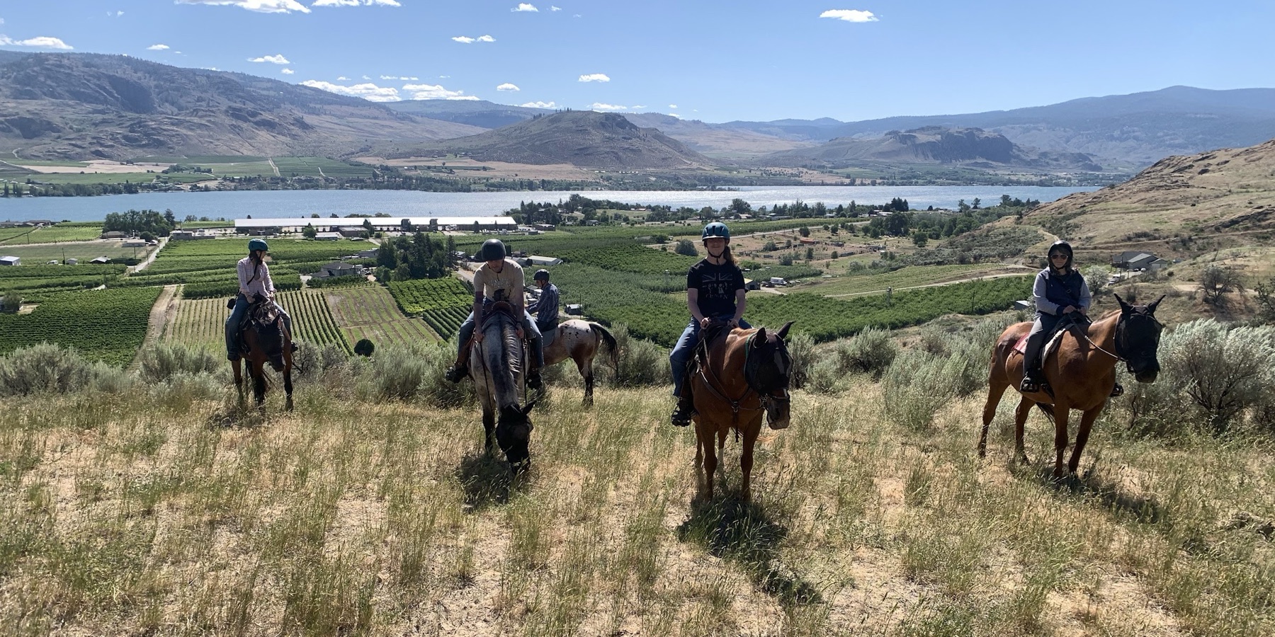Sun Hills Riding Centre