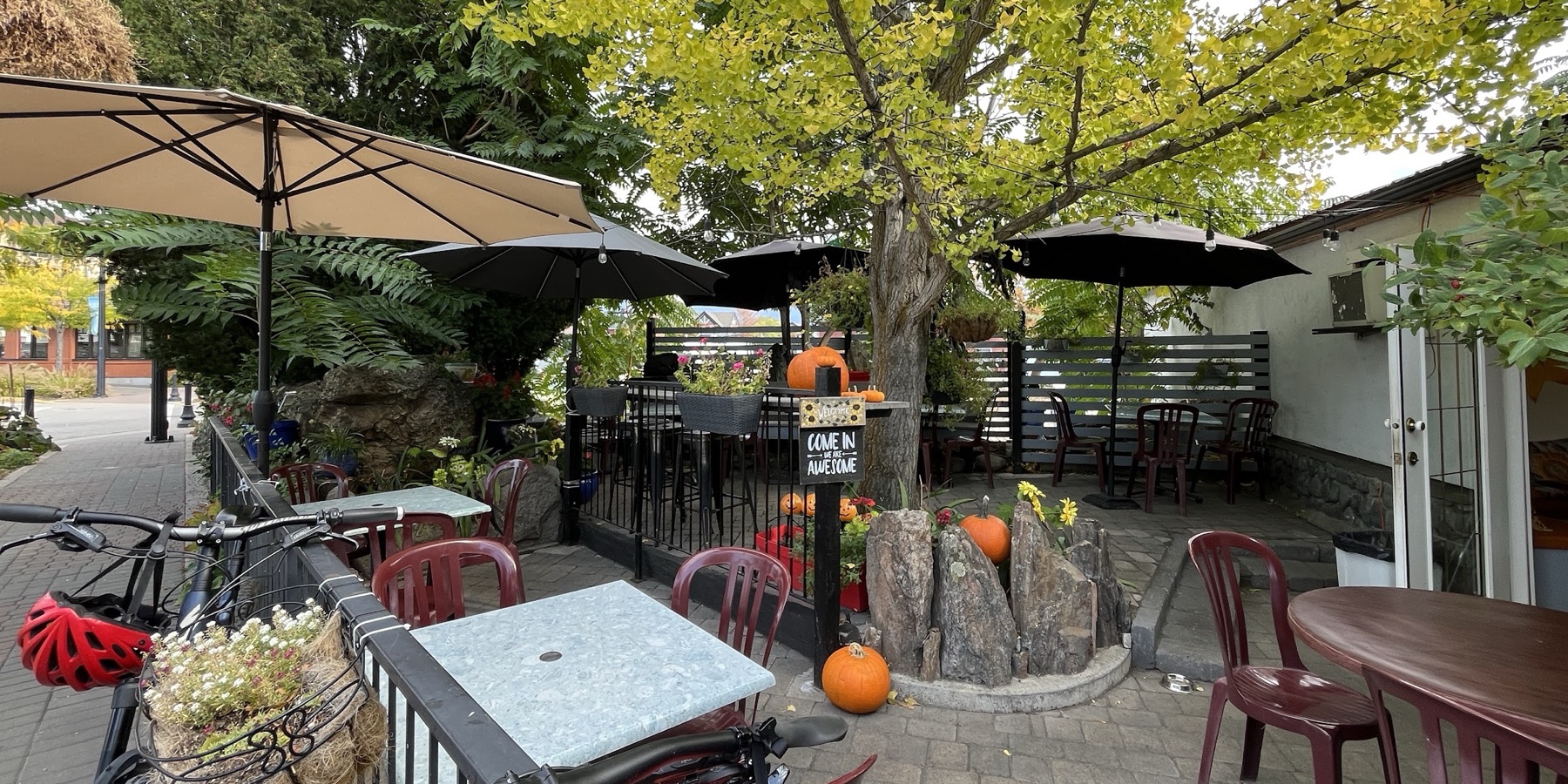 Sunflower Ukrainian Cafe