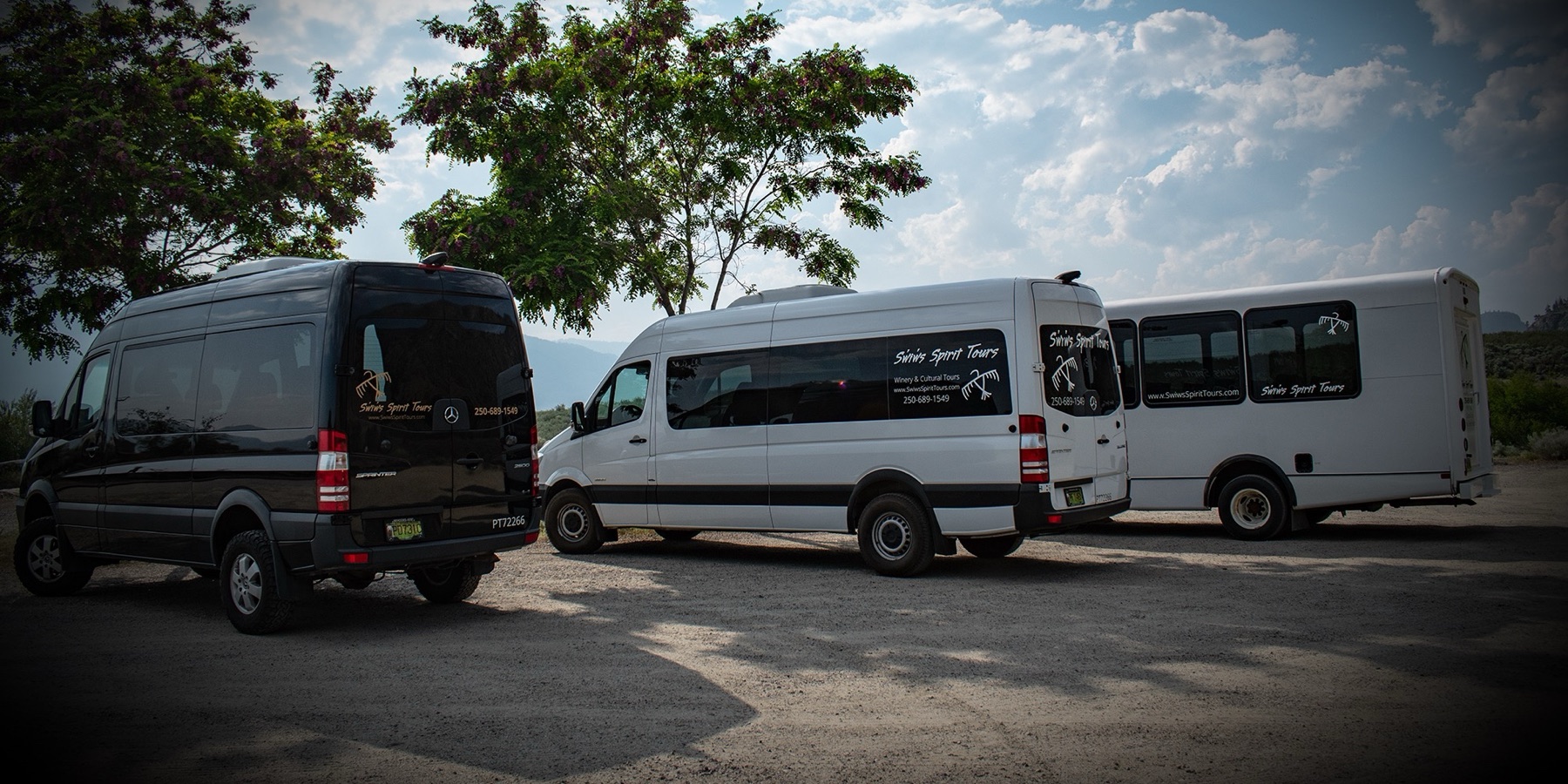 Swiws Spirit Tours