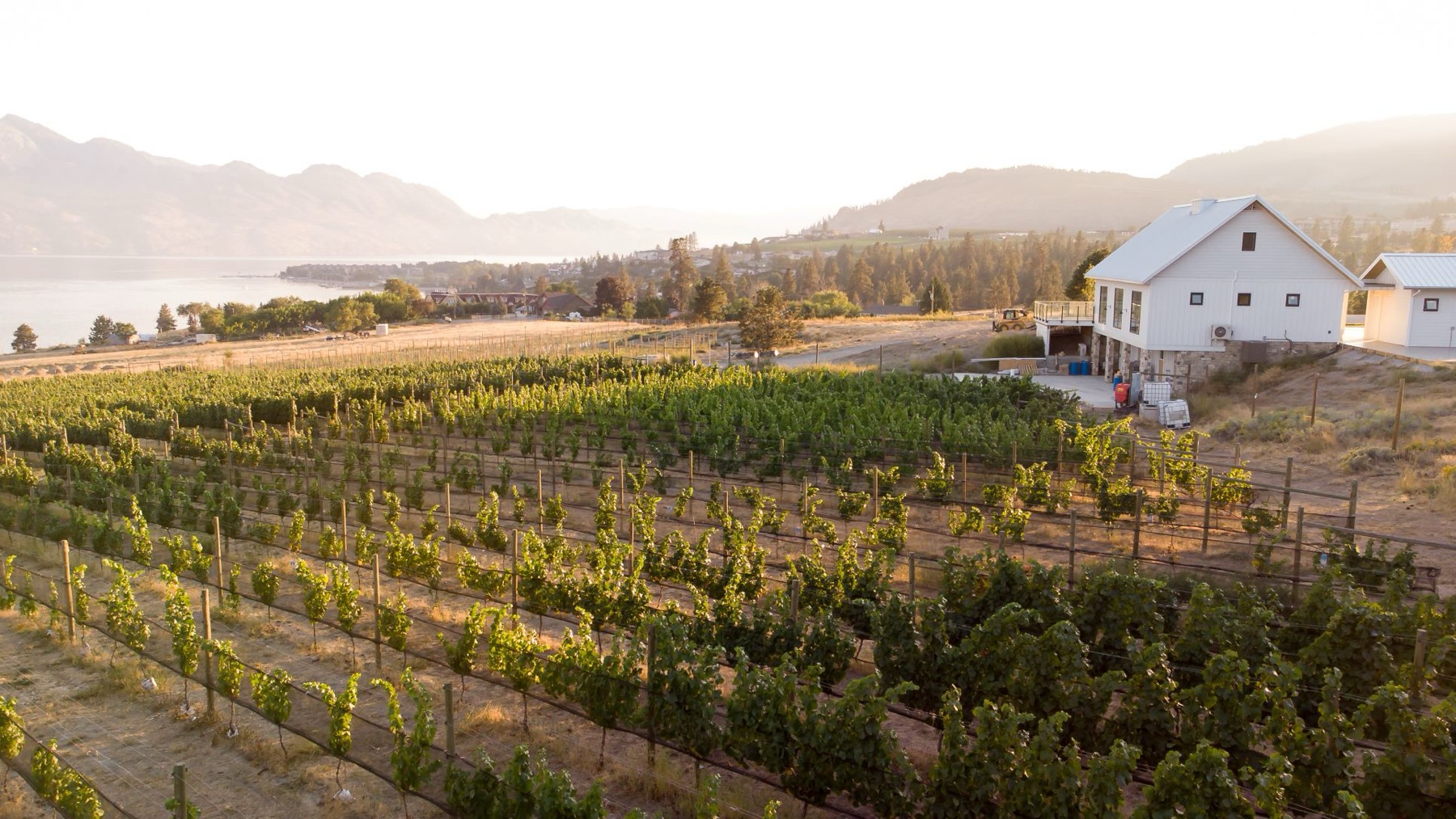 The Gallery Winery