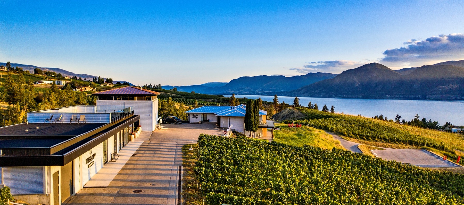 Therapy Vineyards