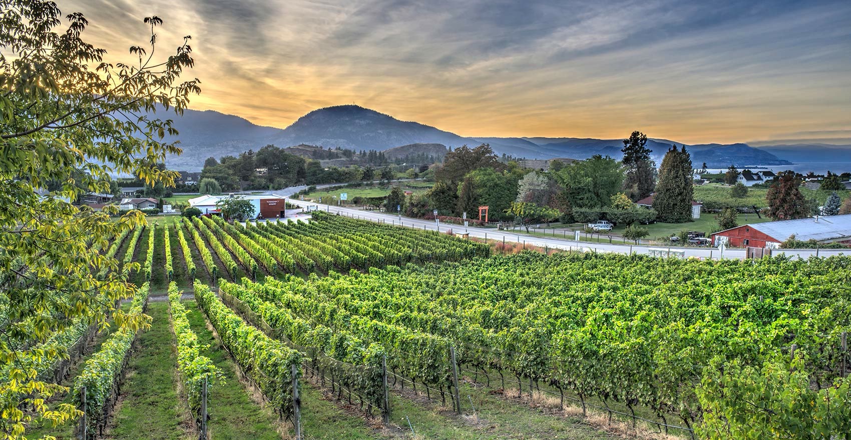 Township 7 Vineyards & Winery