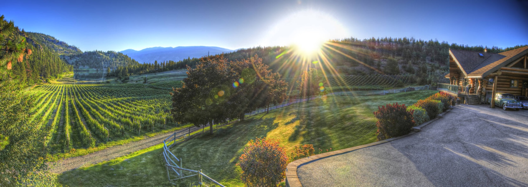 Vineyard Kitchen & Patio at Nighthawk Vineyards