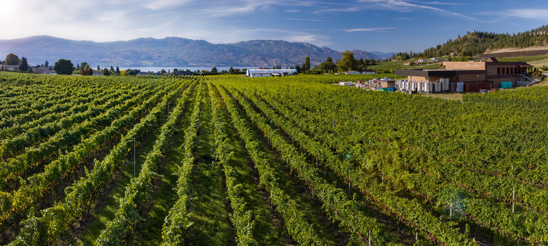 Volcanic Hills Estate Winery