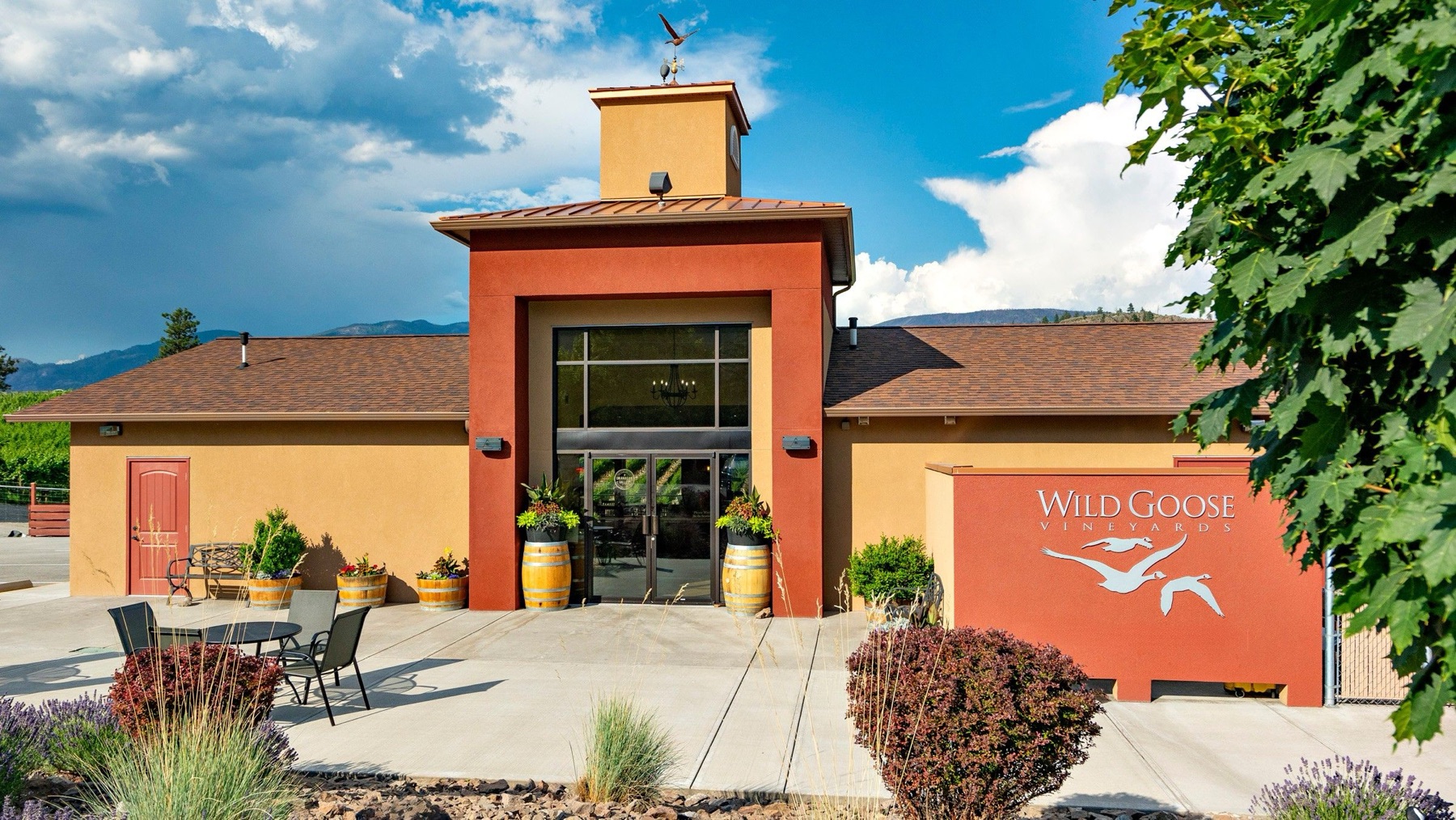 Wild Goose Winery