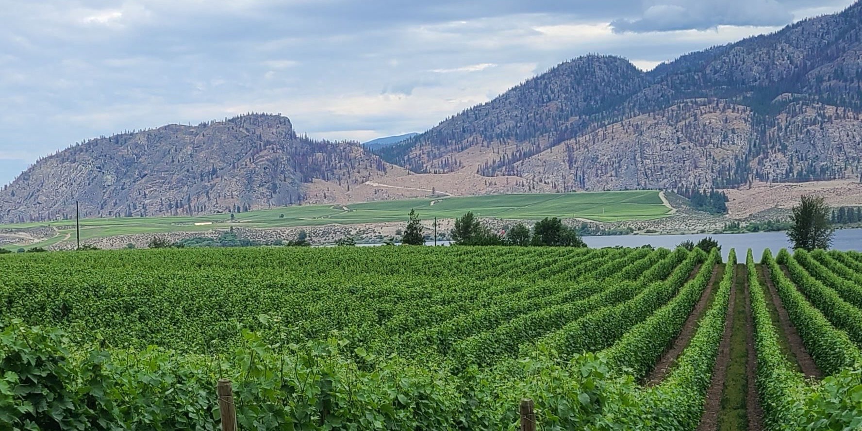 Wine Tours Gone South