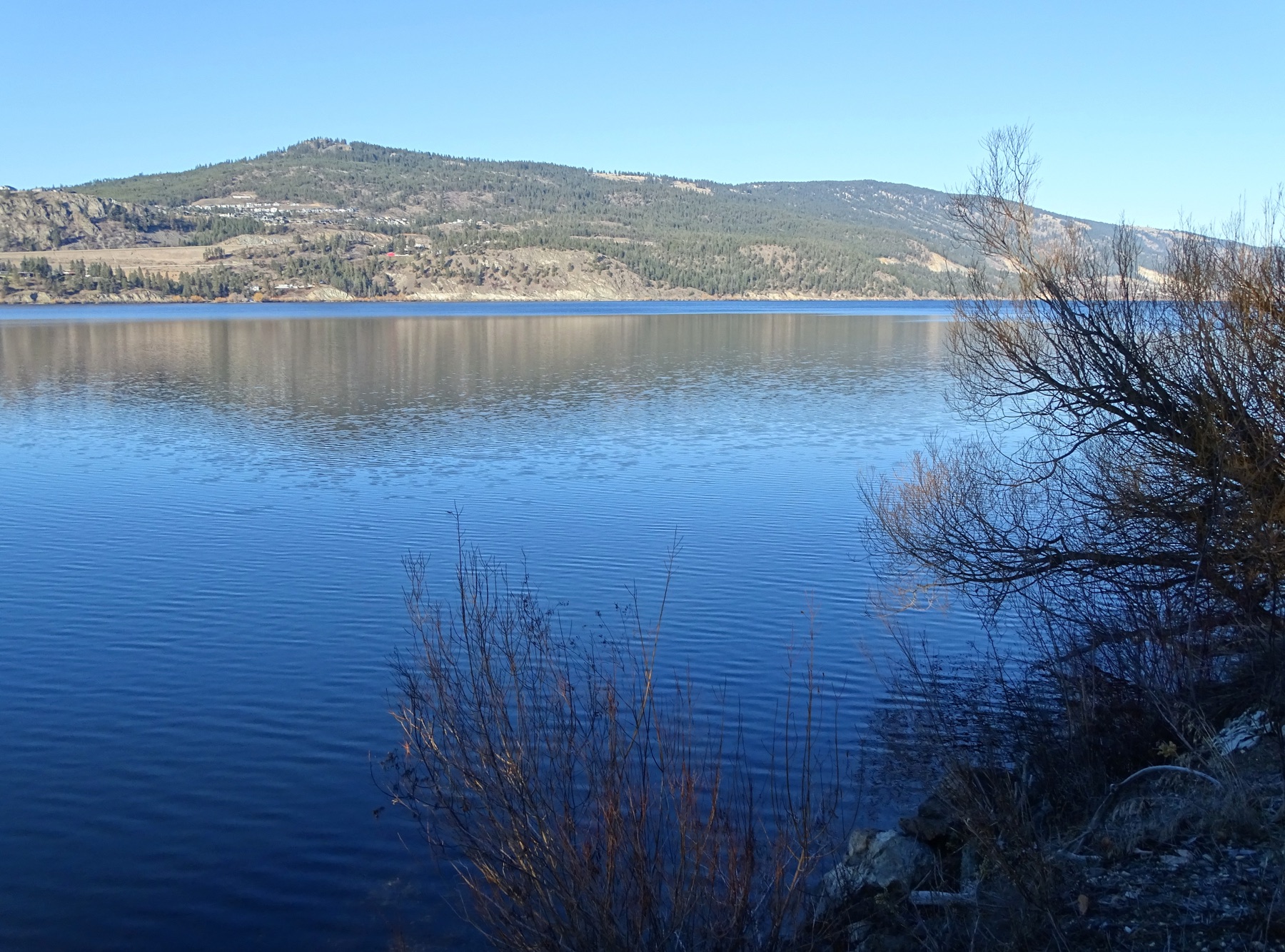 Wood Lake Fishing Dock