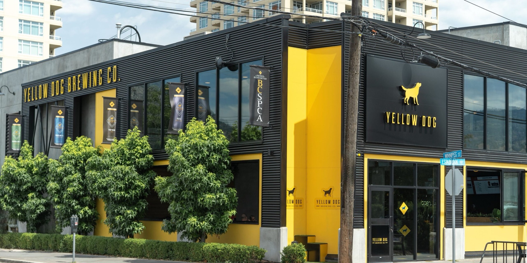 Yellow Dog Brewing Co