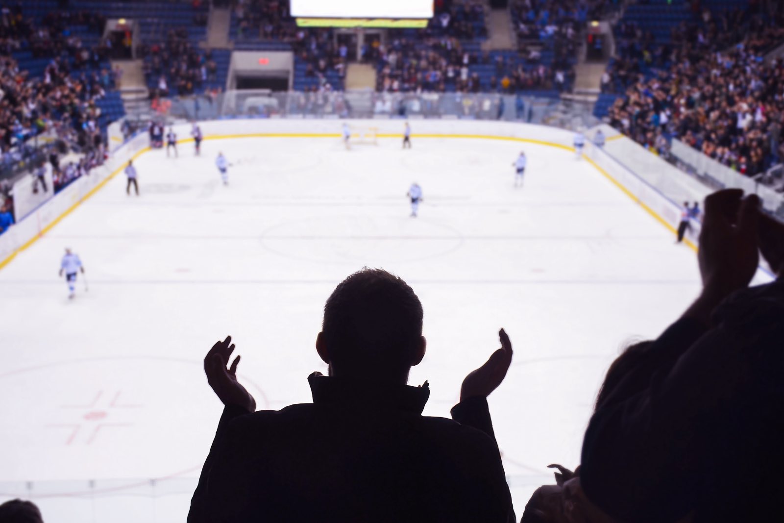 A fan cheering at a hockey game from the stands