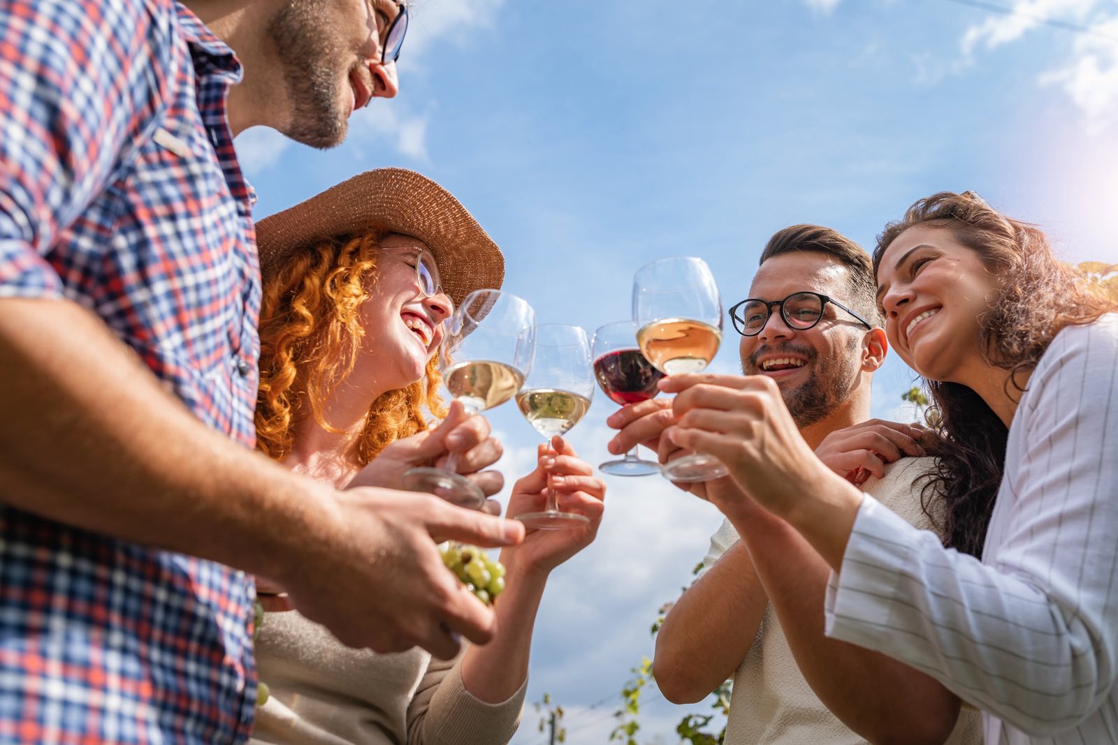 Friends toasting with wine in a vineyard at harvest